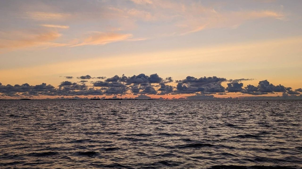 AreaSummer5KM AreaSummer5KM